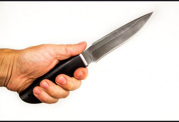 Нож Хищник <span>(Дамаск 1200 слоев, мореный граб)</span>